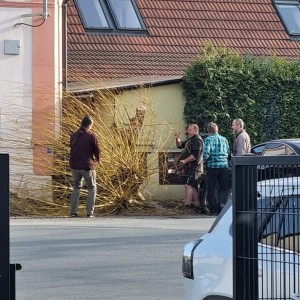 brigada vsechromy 23 25  