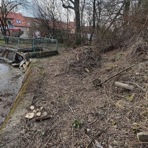 brigada vsechromy 23 3 25  