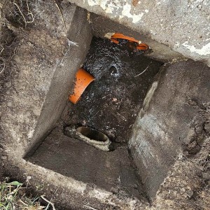 brigada vsechromy 23 3 25  