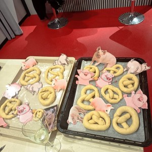 whatsapp image 2026 02 08 at.48.08