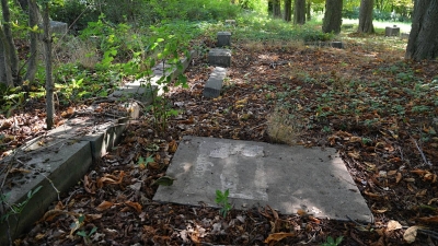 Židovský hřbitov Všechromy